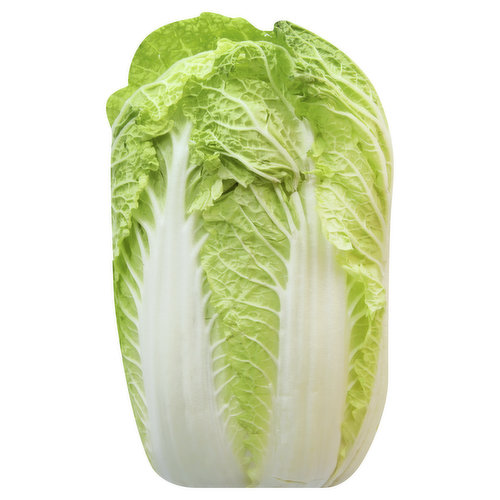 Fresh Napa Cabbage