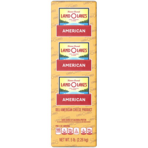 Land O Lakes Yellow Deli American Cheese Product