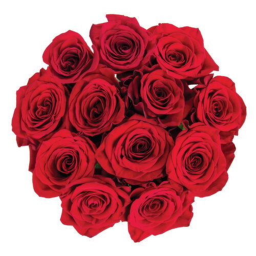 Cub Dozen Premium Red Roses