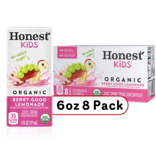 Honest Kids   Berry Good Lemonade Juice Drink Cartons