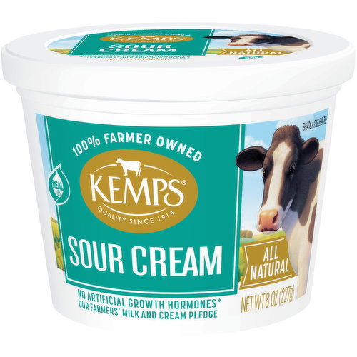 Kemps Sour Cream