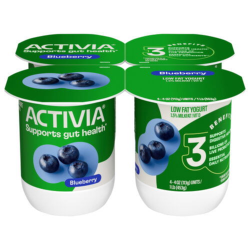 Activia Low Fat Blueberry Yogurt