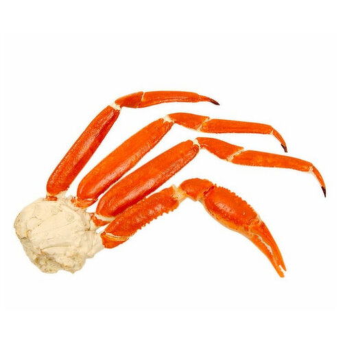 Cub Snowcrab Cluster