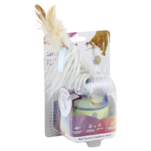SmartyKat Motion Toy