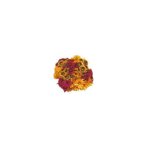 Cub Floral Fall Mega Bunch Poms