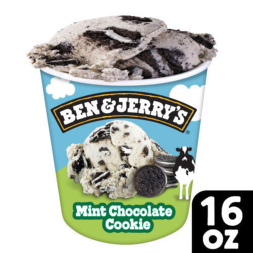 Ben & Jerry's Ice Cream Pint