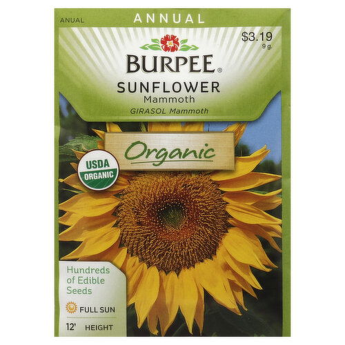 Burpee Seeds, Organic, Sunflower, Mammoth