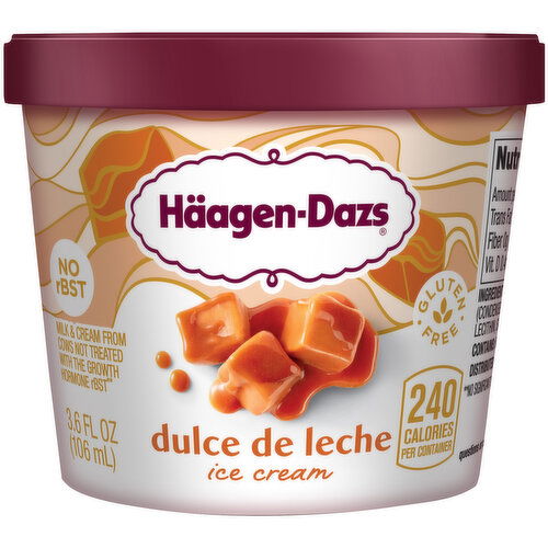 Haagen Dazs Dulce de Leche Ice Cream