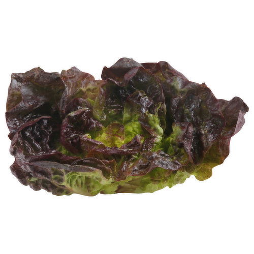 Produce Lettuce, Red Boston