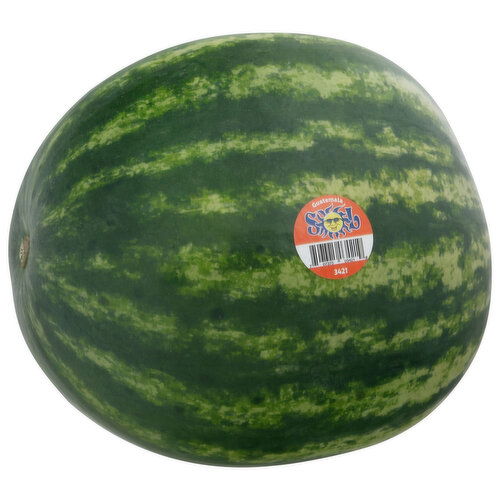 Sol Watermelon