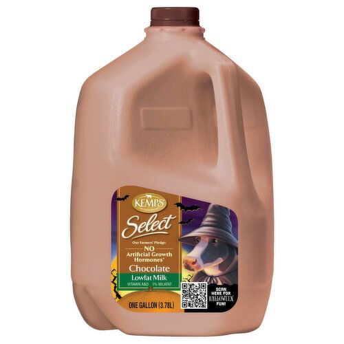 Kemps Select 1% Lowfat Chocolate Milk