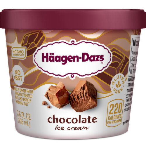 Haagen Dazs Chocolate Ice Cream