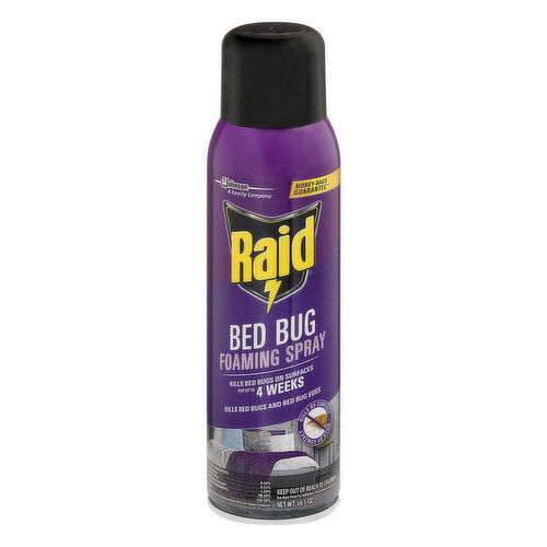 Raid Foaming Spray, Bed Bug