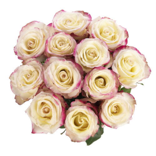 Cub Floral Dozen Roses Multicolor