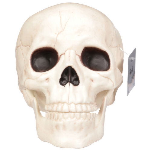 Seasons HK Skull