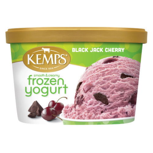 Kemps Black Jack Cherry Frozen Yogurt