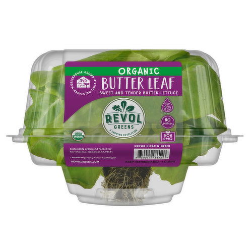 Revol Greens Organic Butter Leaf Lettuce