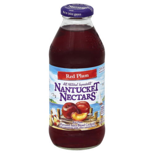 Nantucket Nectars Juice Blend Cocktail, Red Plum