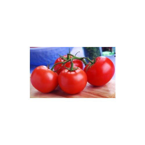 Fresh Produce Organic On the Vine Tomato