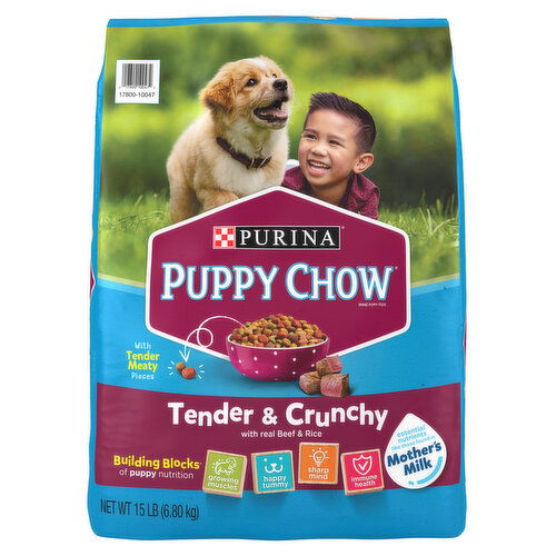 Puppy Chow Dry Dog Food Purina Puppy Chow High Protein Dry Puppy Food, Tender & Crunchy With Real Beef