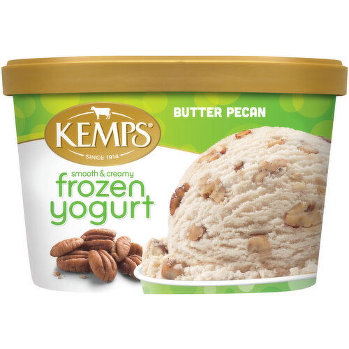 Kemps Butter Pecan Frozen Yogurt