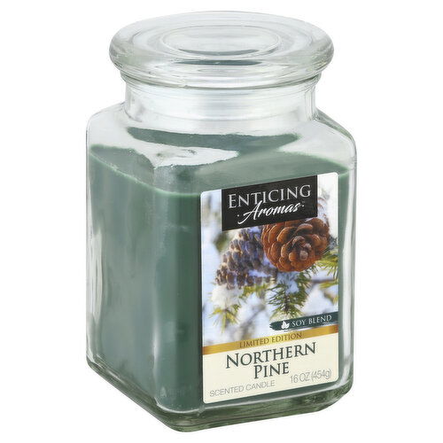 Enticing Aromas Candle, Scented, Northern Pine