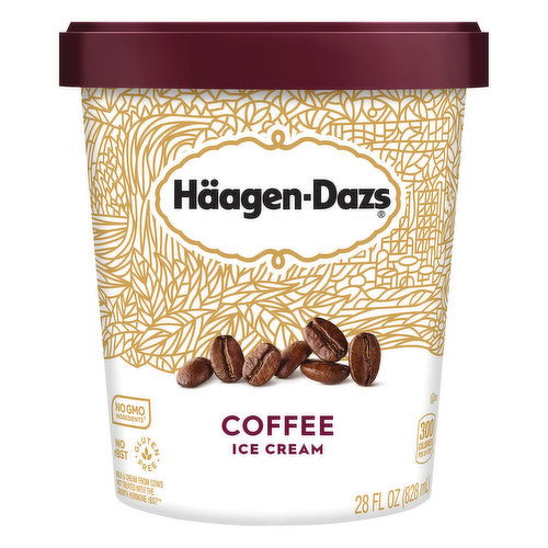 Haagen-Dazs Coffee Ice Cream