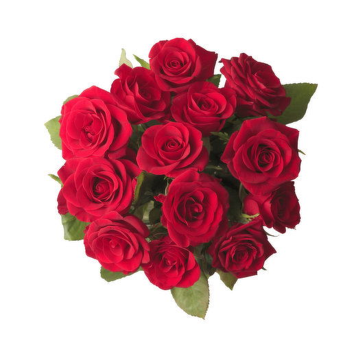 Cub Dozen Premium Red Roses