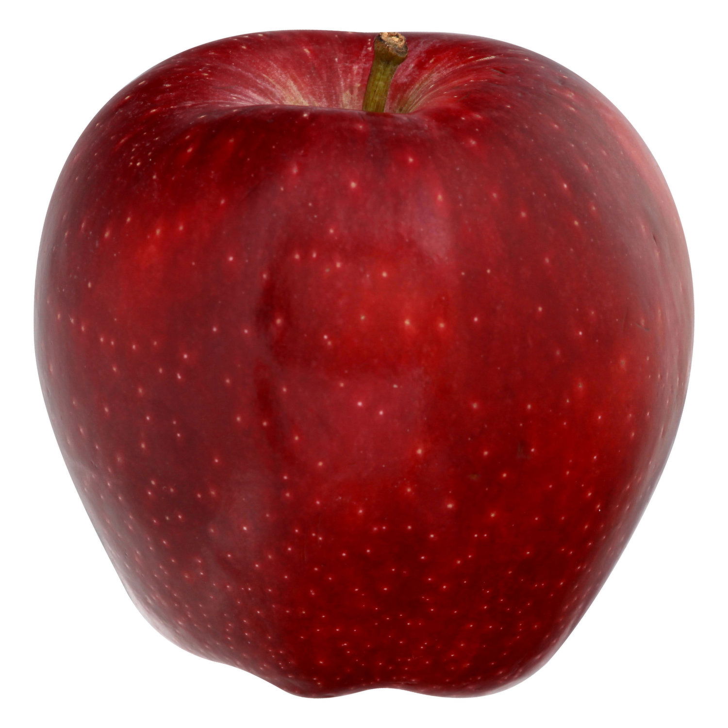 Apple『Designed by Apple in California』大 Designed by Apple in California | Rhizomebook